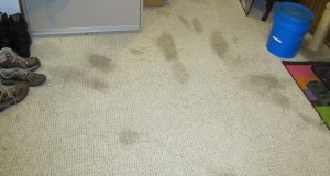carpet cleaner Mission Viejo