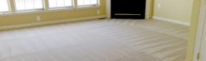Mission Viejo carpet cleaning